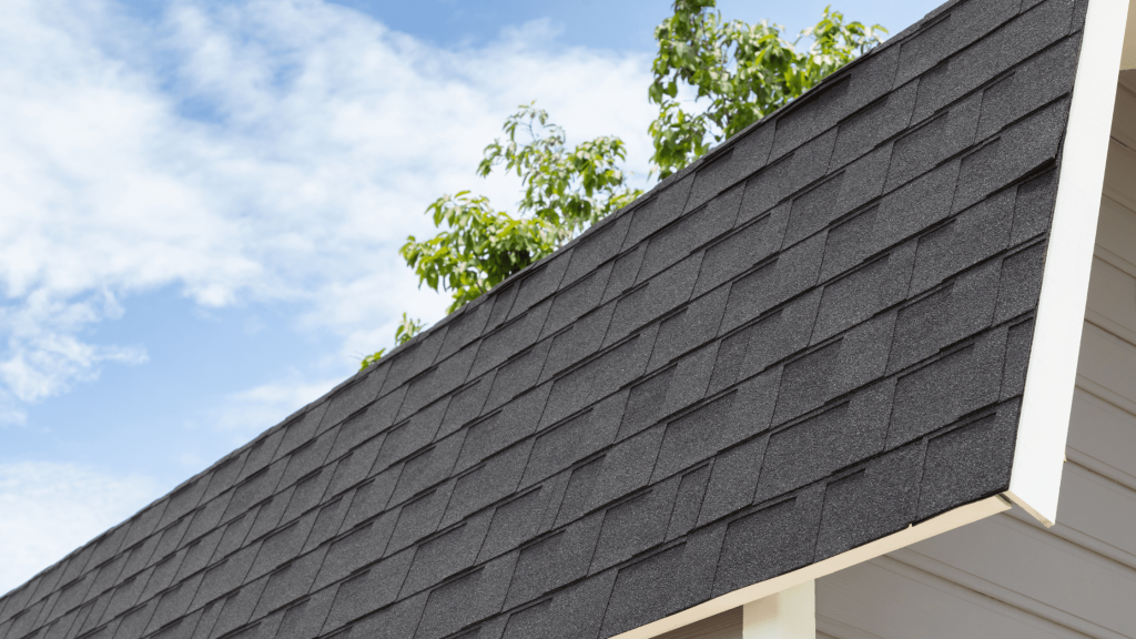 Close-up of a black shingle roof on a house, with a blue sky and green tree branches in the background.