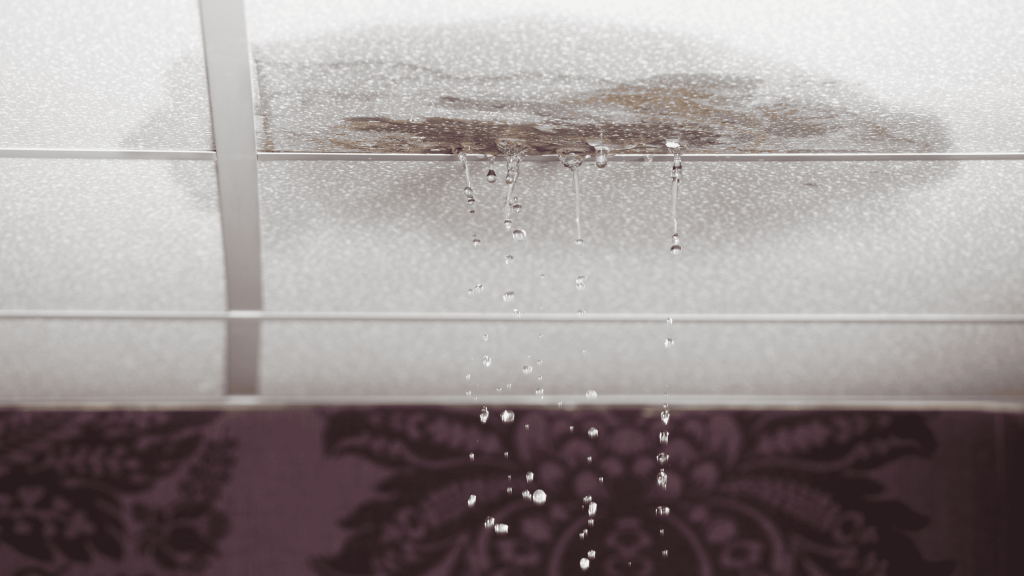 Water leaking from a damaged ceiling due to a roof leak, highlighting the importance of timely roof repair services by Black Bear Roofing for Asheville homeowners.