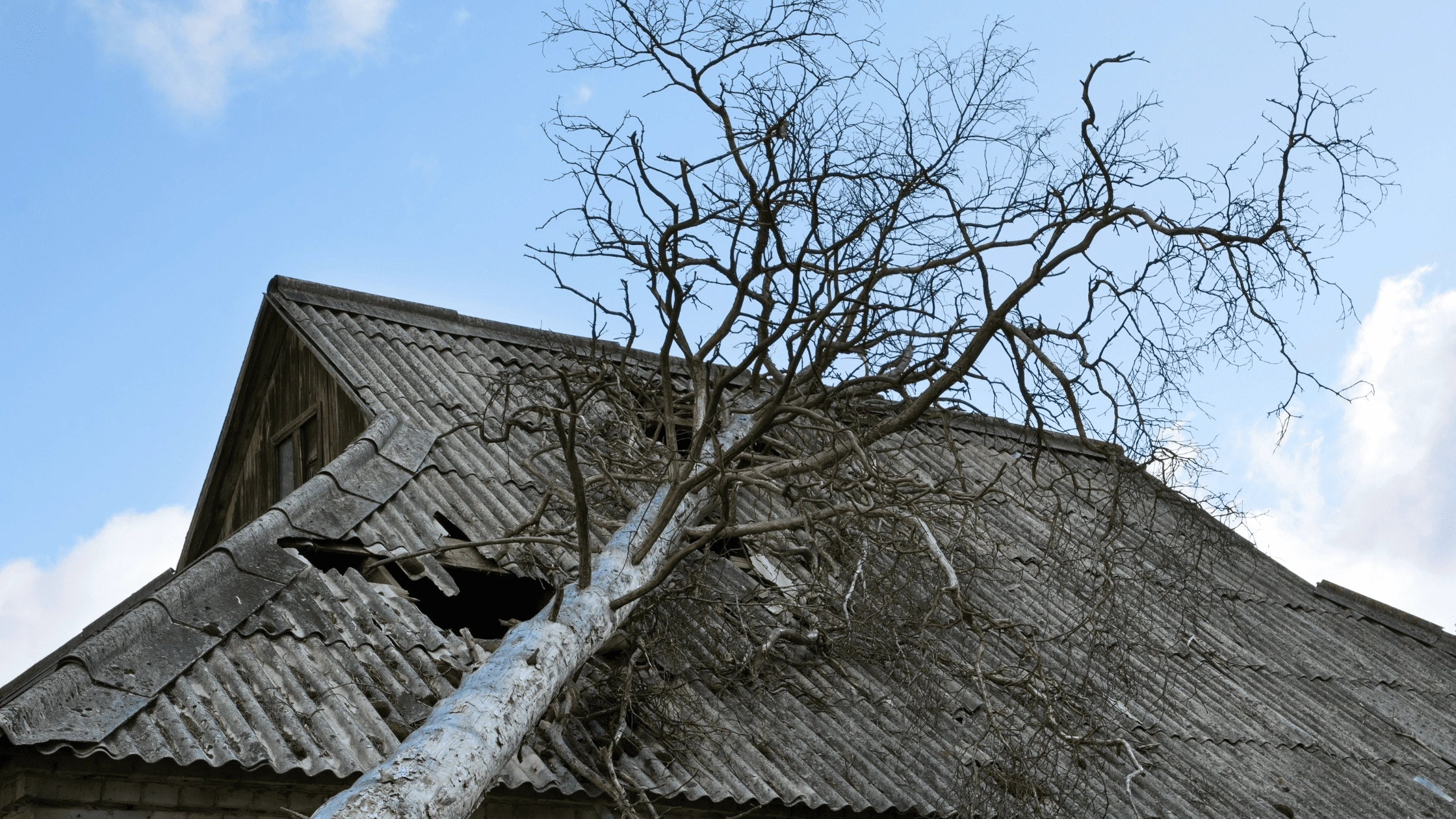 Storm-damaged roof with fallen tree branches and visible roof damage, illustrating the need for emergency roof repair services in Asheville, NC.